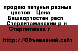 продаю петуньи разных цветов › Цена ­ 15 - Башкортостан респ., Стерлитамакский р-н, Стерлитамак г.  »    